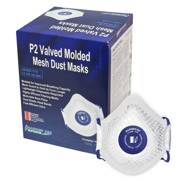 Disposable Molded Mesh P2V Dust Mask